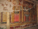 Oplontis 5